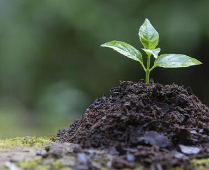 A importância da Educação Ambiental